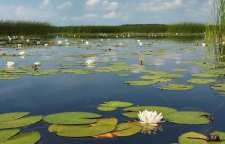 سرآب نیلوفر کرمانشاه