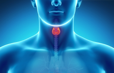 اطلاعاتی درباره کم کاری و پر کاری غده تیروئید