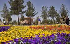 باغ گل های کرمانشاه