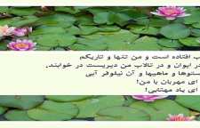 شعر زیبای بیا ای مهربان با من از مهدی اخوان ثالث