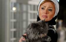 کدام یک از بازیگران معروف ایرانی به گربه علاقه زیادی دارند