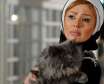 کدام یک از بازیگران معروف ایرانی به گربه علاقه زیادی دارند
