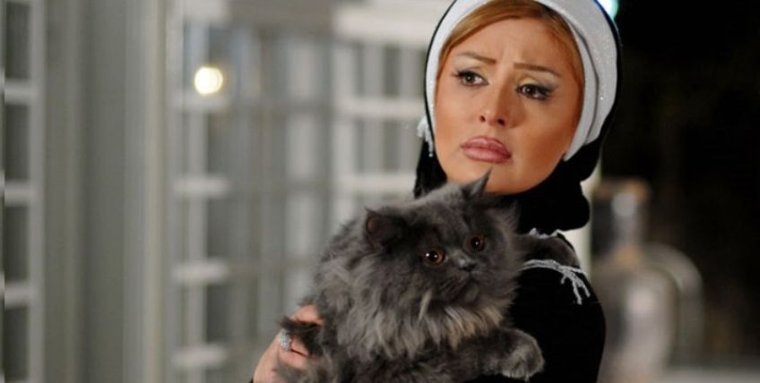 کدام یک از بازیگران معروف ایرانی به گربه علاقه زیادی دارند