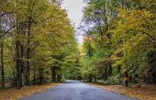 پارک جنگلی النگدره گرگان منطقه نمونه گردشگری در ایران