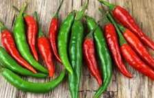 دستور تهیه ترشی فلفل