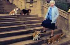 کدام یک از رهبران معروف دنیا به حیونات خانگی علاقه دارند