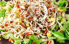 آموزش درست کردن سالاد رژیمی با جوانه گندم
