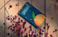 داستان فلسفی و شاعرانه دختر پرتقالی نوشته یوستین گردر