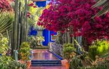 باغ ماژورل مراکش یاقوت آفریقا