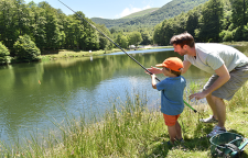 معمای ماهی مفقود شده