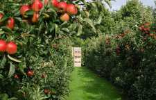 داستان زیبای سکوت نشانه ی قدرت است