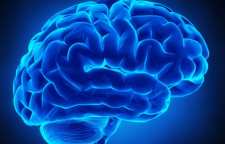 رشد مغز در همه سنین ادامه دارد