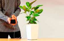 گلدانی که گوشی شما را شارژ می کند