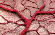 ساخت رگ های مصنوعی با استفاده از فناوری چاپ سه بعدی