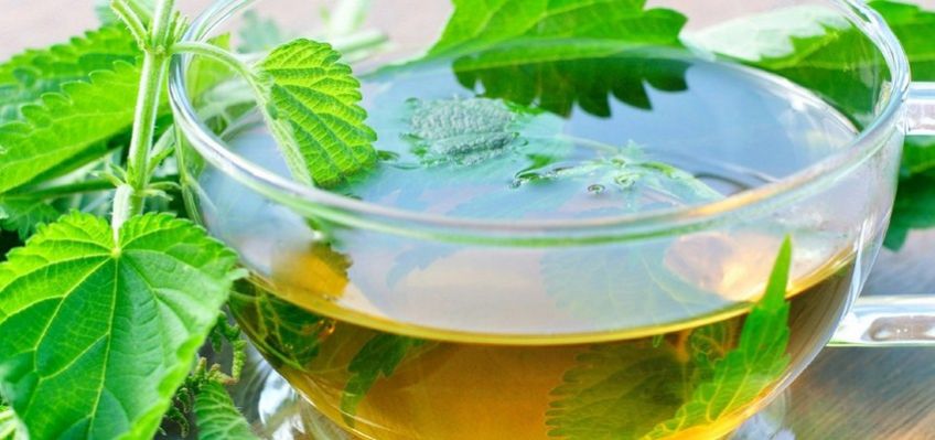 طریقه درست کردن دمنوش گیاهی چای گزنه
