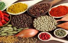 روش تهیه ادویه تندوری