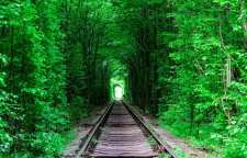 تونل عشق اوکراین جاده ای رو به شهر آرزوها