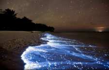 سواحل درخشان وادهو در مالدیو