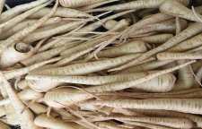 طرز تهیه مربای شقاقل