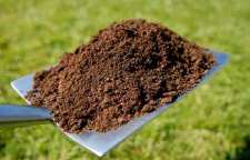 بهترین خاک مناسب برای رشد کاکتوس