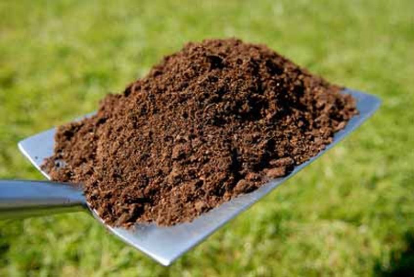 بهترین خاک مناسب برای رشد کاکتوس