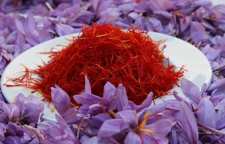 خواص چای زعفران را بشناسیم