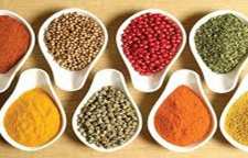 طرز تهیه ادویه کاجون