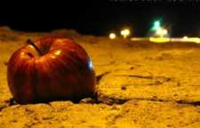 روایتی از امام صادق علیه السلام در مورد شفابخش بودن تربت کربلا