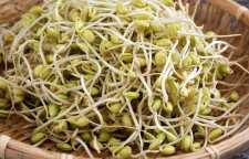 تأثیر مصرف جوانه گندم بر پوست