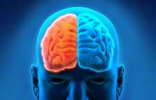 تفاوت عملکرد نیمکره راست و چپ مغز