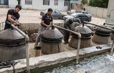 خواص عرق چهل گیاه و معجزات دارویی آن