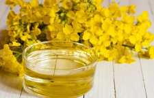 روغن گل پامچال درمان درد ها