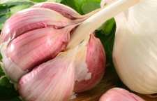 خواص بی نظیر موسیر برای سلامتی