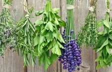 چگونگی استفاده از سبزیجات معطر در آشپزی