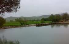 سراب فش کنگاور در استان کرمانشاه