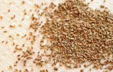 لاغری اعجاب انگیز با گیاه زنیان