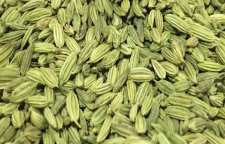 رازیانه برای خانم ها بسیار مفید و موثر است