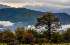 جنگل الیمستان آمل بهشت مه آلود مازندران