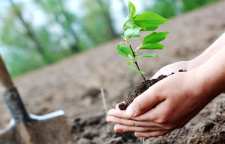 داستان کوتاه شیوانا و جواب گستاخان