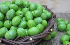 روش از بین بردن تلخی زیتون