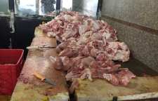 تبدیل پیه مرغ به گازوئیل