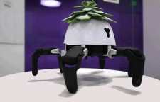 رباتی که از گیاهان نگهداری می کند