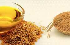 طرزتهیه چای شلتوک برنج