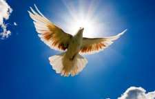 داستان شیوانا و تجلی روح پس از مرگ