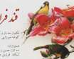 انتشار آلبوم  قند فراوان اثر کوشا میرزایی