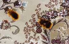 از بین بردن لکه سوختگی فرش و موکت