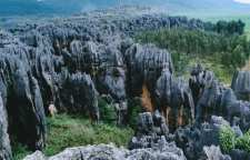 جنگل سنگی یونن چین