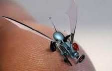 از ربات حشره ای پرنده چه می دانید