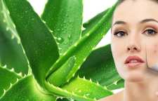 فواید و خواص گیاه آلوئه ورا برای انواع پوست