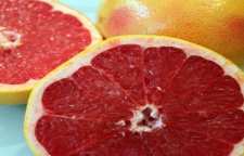 روش تهیه مربای پوست گریپ فروت